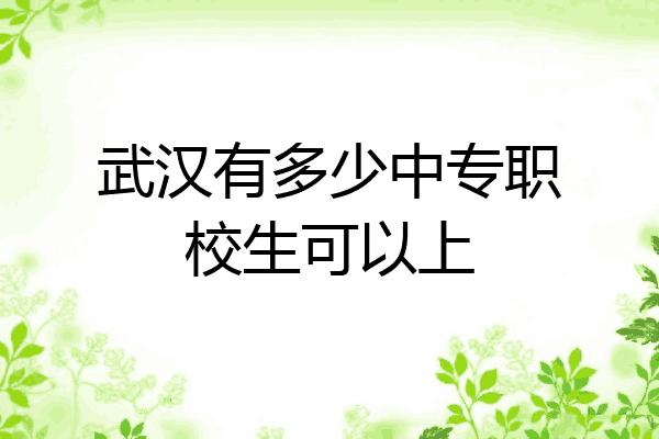 武汉有多少中专职校生可以上
