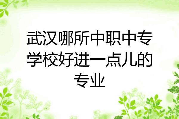 武汉哪所中职中专学校好进一点儿的专业