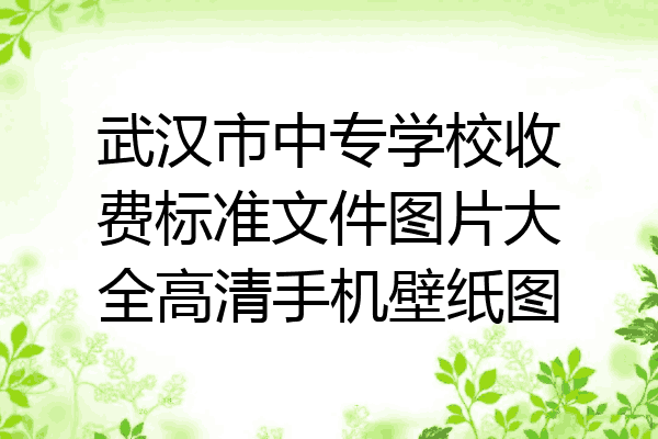 武汉市中专学校收费标准文件图片大全高清手机壁纸图