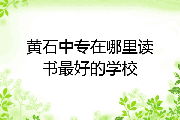 黄石中专在哪里读书最好的学校
