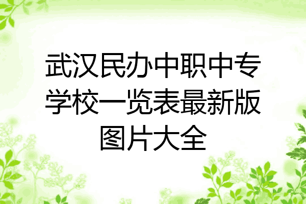 武汉民办中职中专学校一览表最新版图片大全