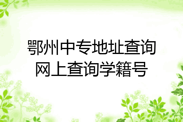 鄂州中专地址查询网上查询学籍号