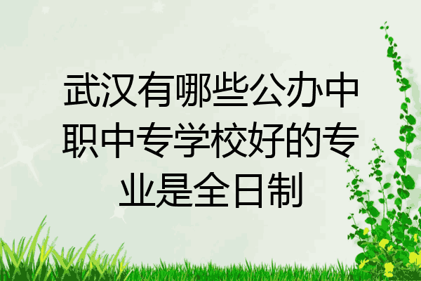 武汉有哪些公办中职中专学校好的专业是全日制