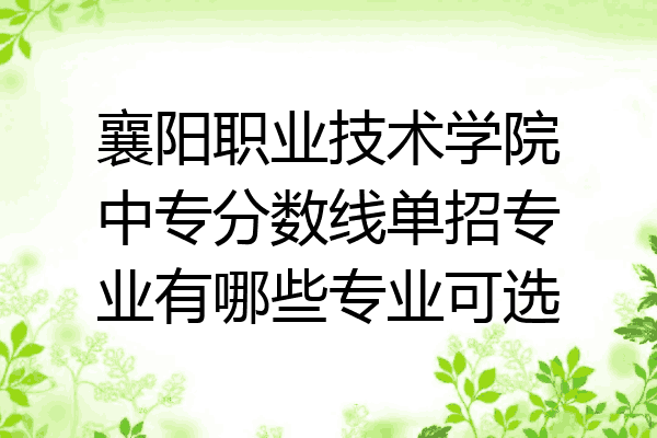 襄阳职业技术学院中专分数线单招专业有哪些专业可选