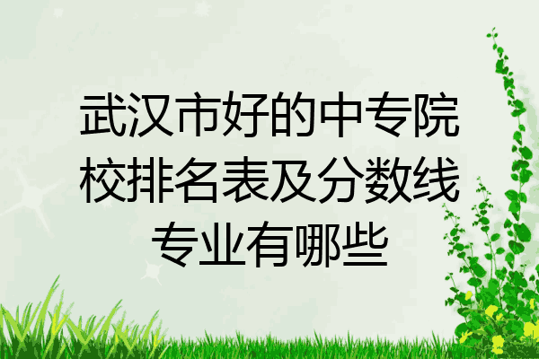 武汉市好的中专院校排名表及分数线专业有哪些