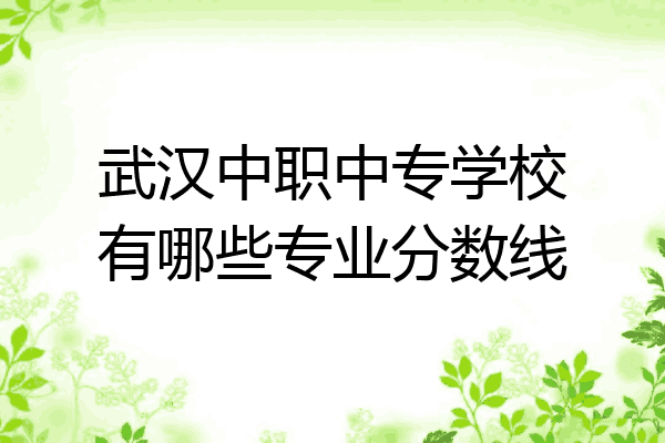武汉中职中专学校有哪些专业分数线
