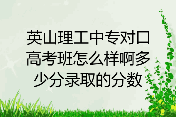 英山理工中专对口高考班怎么样啊多少分录取的分数