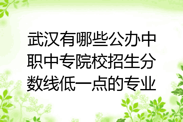 武汉有哪些公办中职中专院校招生分数线低一点的专业