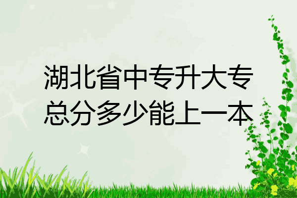 湖北省中专升大专总分多少能上一本