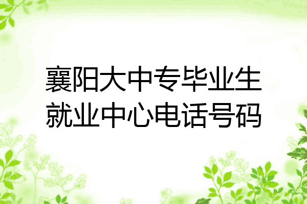 襄阳大中专毕业生就业中心电话号码