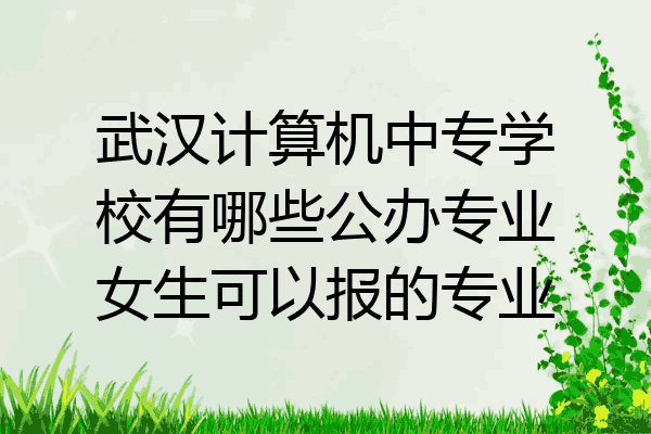 武汉计算机中专学校有哪些公办专业女生可以报的专业