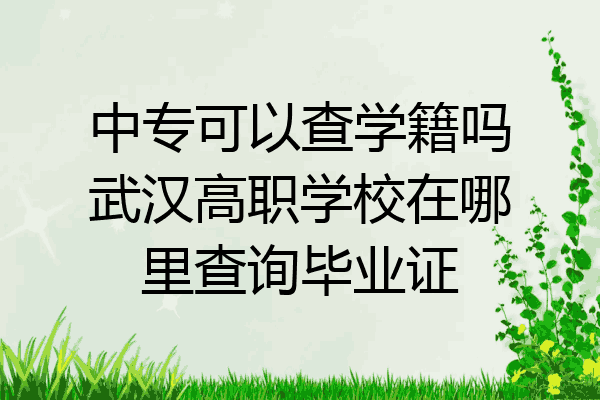 中专可以查学籍吗武汉高职学校在哪里查询毕业证