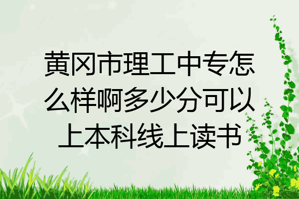 黄冈市理工中专怎么样啊多少分可以上本科线上读书