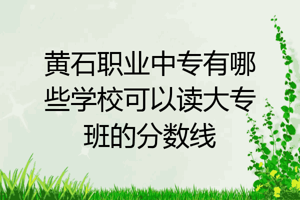 黄石职业中专有哪些学校可以读大专班的分数线