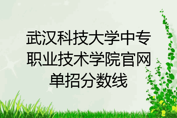 武汉科技大学中专职业技术学院官网单招分数线