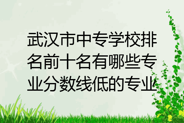 武汉市中专学校排名前十名有哪些专业分数线低的专业