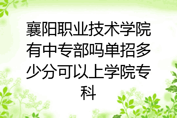 襄阳职业技术学院有中专部吗单招多少分可以上学院专科