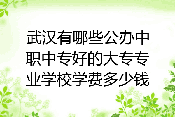 武汉有哪些公办中职中专好的大专专业学校学费多少钱