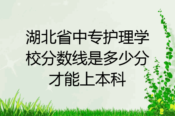 湖北省中专护理学校分数线是多少分才能上本科