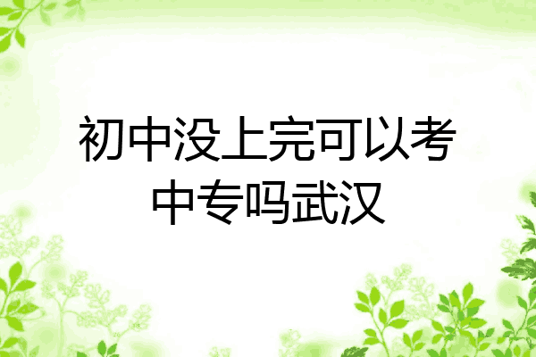 初中没上完可以考中专吗武汉