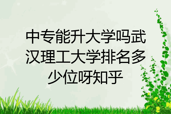 中专能升大学吗武汉理工大学排名多少位呀知乎