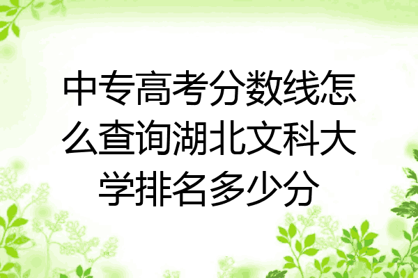 中专高考分数线怎么查询湖北文科大学排名多少分