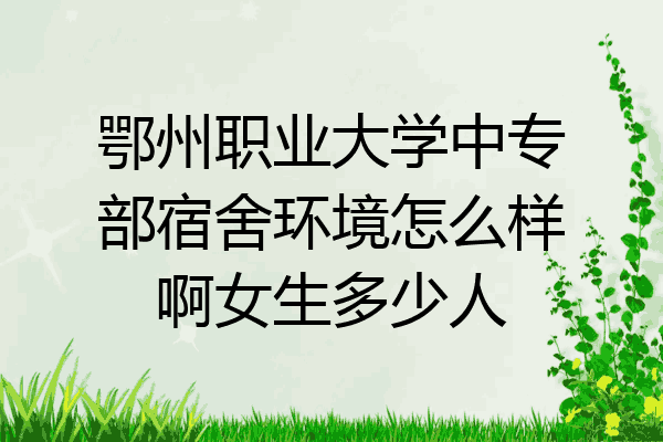 鄂州职业大学中专部宿舍环境怎么样啊女生多少人