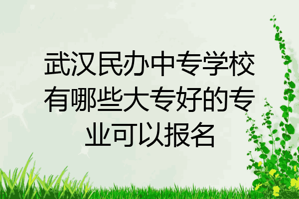 武汉民办中专学校有哪些大专好的专业可以报名