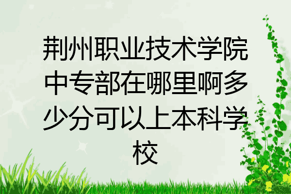 荆州职业技术学院中专部在哪里啊多少分可以上本科学校