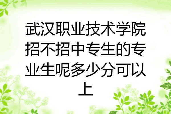 武汉职业技术学院招不招中专生的专业生呢多少分可以上
