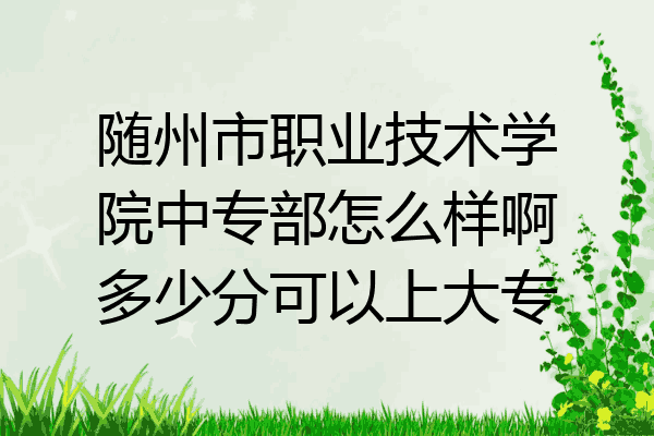 随州市职业技术学院中专部怎么样啊多少分可以上大专