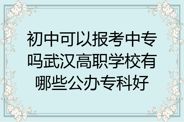 初中可以报考中专吗武汉高职学校有哪些公办专科好