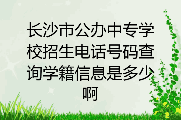 长沙市公办中专学校招生电话号码查询学籍信息是多少啊