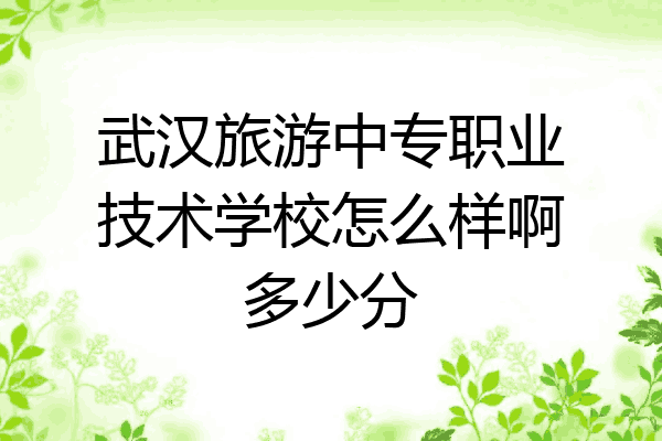 武汉旅游中专职业技术学校怎么样啊多少分