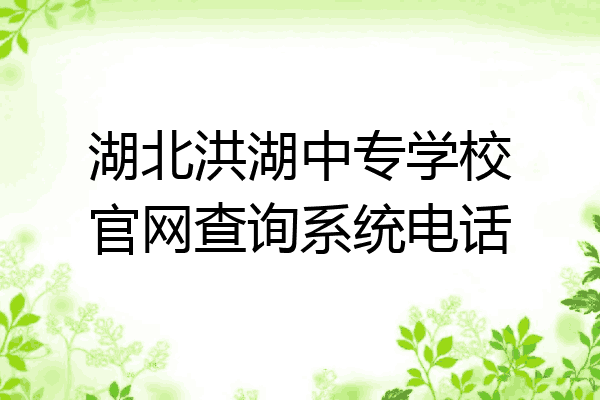 湖北洪湖中专学校官网查询系统电话