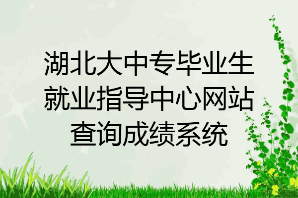 湖北大中专毕业生就业指导中心网站查询成绩系统