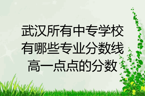 武汉所有中专学校有哪些专业分数线高一点点的分数