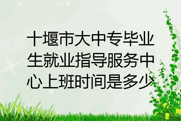 十堰市大中专毕业生就业指导服务中心上班时间是多少