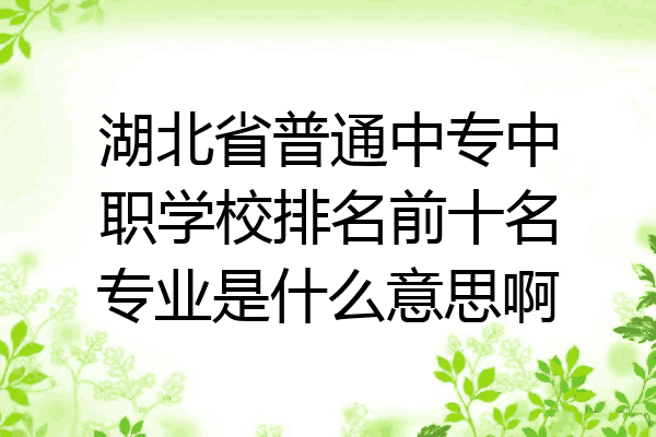湖北省普通中专中职学校排名前十名专业是什么意思啊