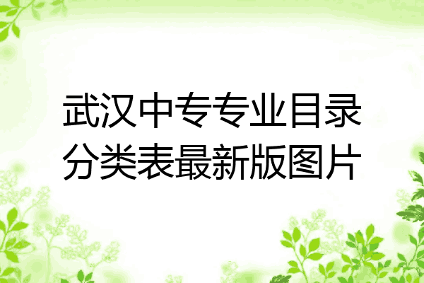 武汉中专专业目录分类表最新版图片