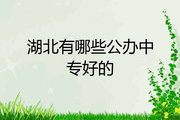湖北有哪些公办中专好的