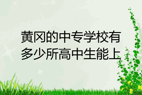 黄冈的中专学校有多少所高中生能上