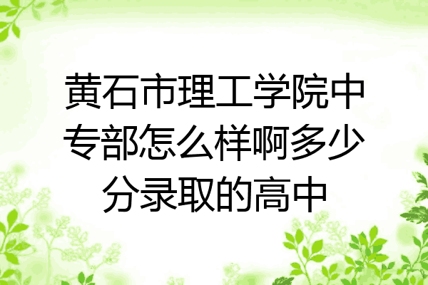黄石市理工学院中专部怎么样啊多少分录取的高中