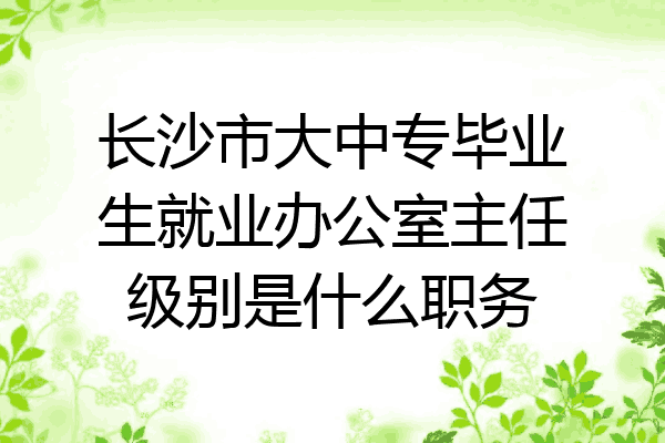 长沙市大中专毕业生就业办公室主任级别是什么职务