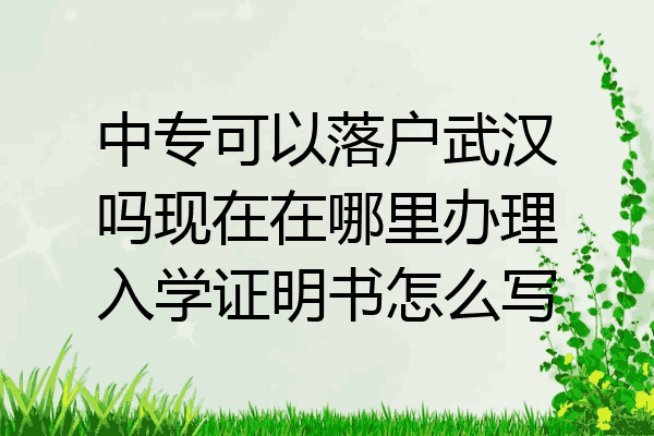 中专可以落户武汉吗现在在哪里办理入学证明书怎么写