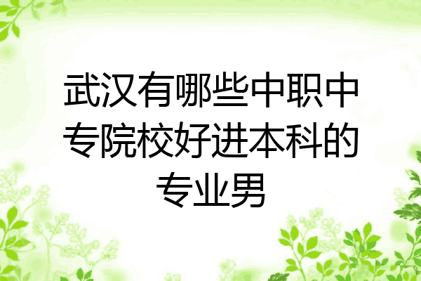 武汉有哪些中职中专院校好进本科的专业男