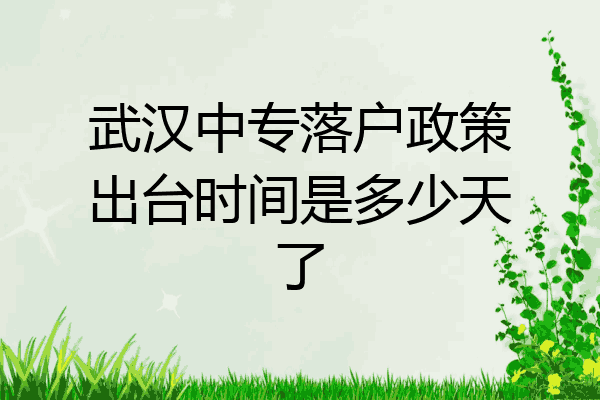 武汉中专落户政策出台时间是多少天了