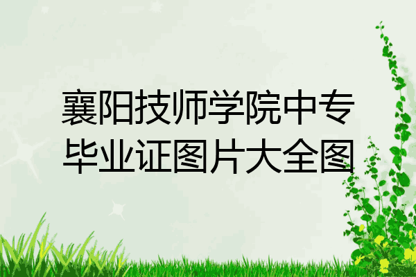 襄阳技师学院中专毕业证图片大全图