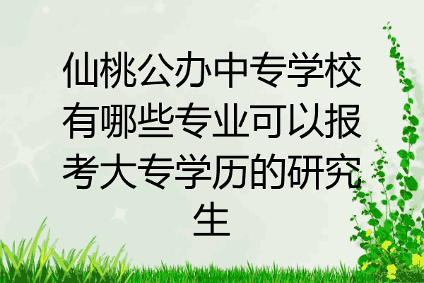 仙桃公办中专学校有哪些专业可以报考大专学历的研究生