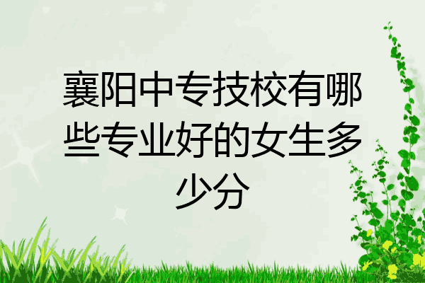 襄阳中专技校有哪些专业好的女生多少分